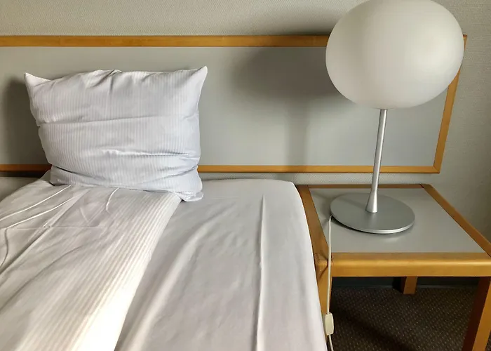 Thon Hoje ホテル 3*