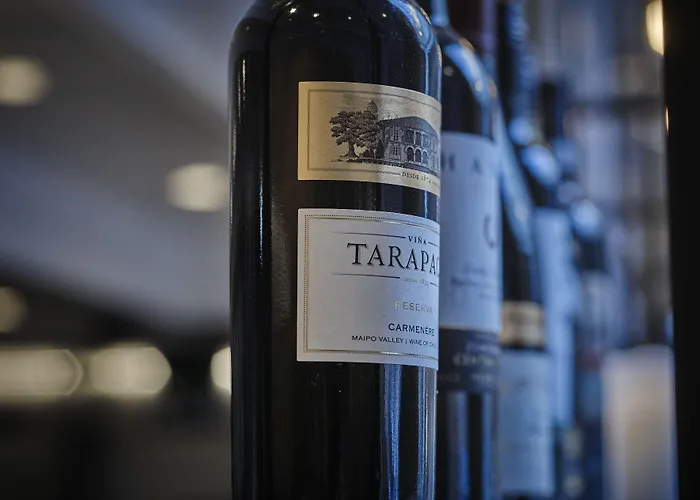 Thon Hoje ターストラップ